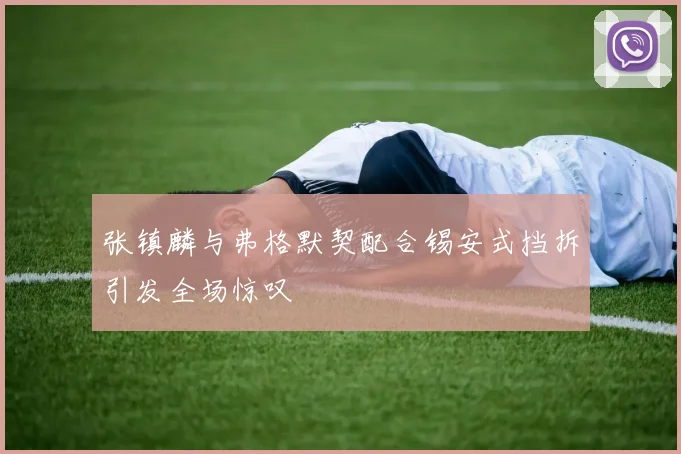 张镇麟与弗格默契配合锡安式挡拆引发全场惊叹